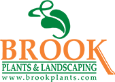 Brook Plants & Landscaping Services